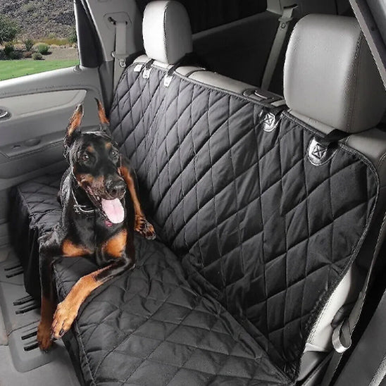 chien doberman couche sur protection tapis de voiture
