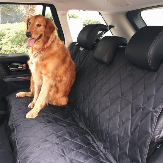 chien race retriever assis sur protection tapis de voiture
