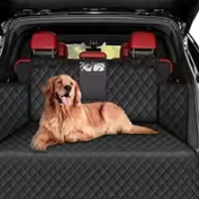 labrador sur tapis de coffre voiture luxe en auto