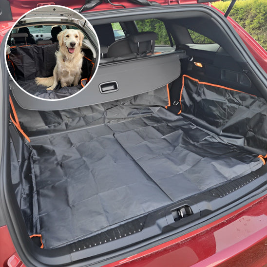 tapis housse de protection coffre voiture posee verso et image de labrador installe coffre auto