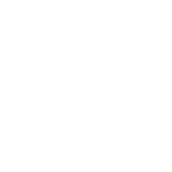 Automobile