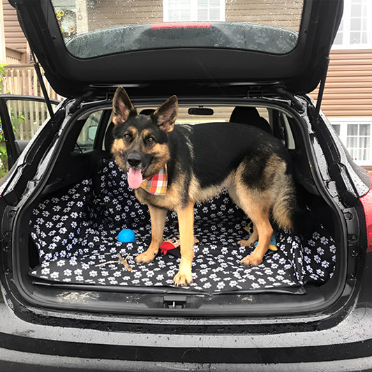 chien sur tapis de coffre voiture dans auto